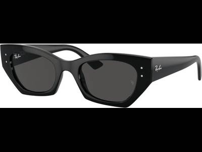 Ray-Ban RB4430 667787 
